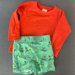 Hanna Andersson shark swimsuit and matching rash guard 2T